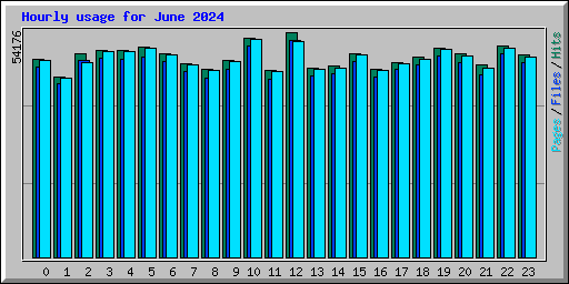 Hourly usage for June 2024