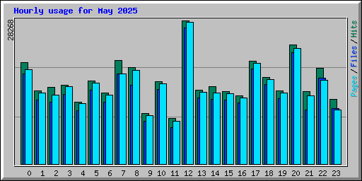 Hourly usage for May 2025