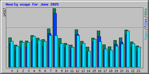 Hourly usage for June 2025