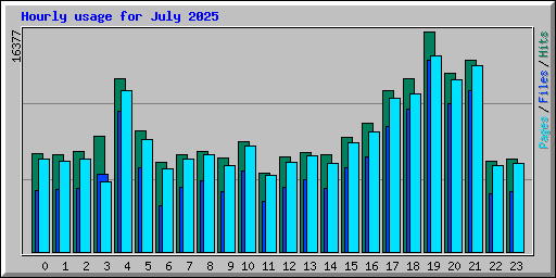 Hourly usage for July 2025