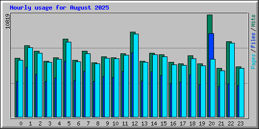 Hourly usage for August 2025