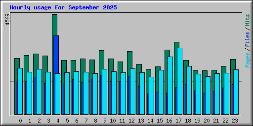 Hourly usage for September 2025