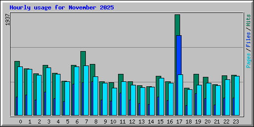 Hourly usage for November 2025