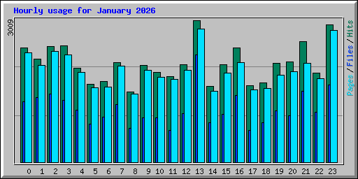 Hourly usage for January 2026