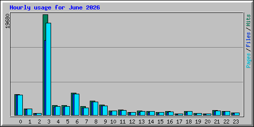 Hourly usage for June 2026