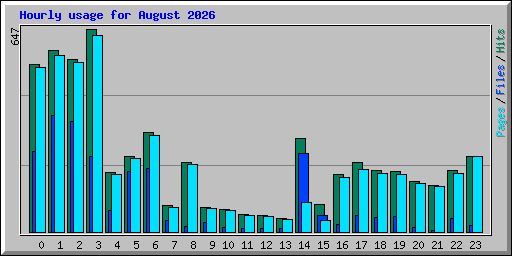 Hourly usage for August 2026