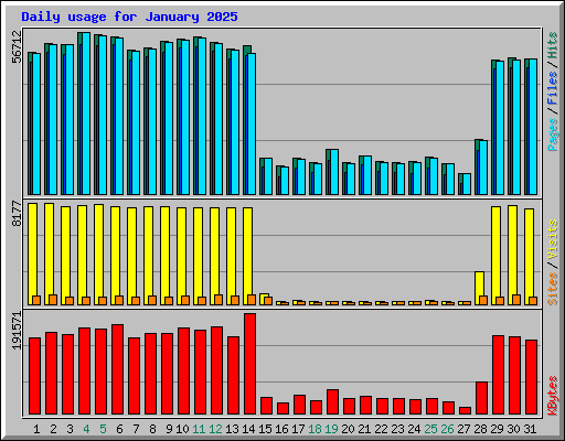 Daily usage for January 2025