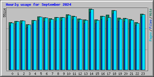 Hourly usage for September 2024