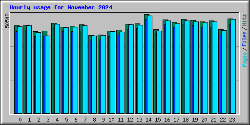 Hourly usage for November 2024