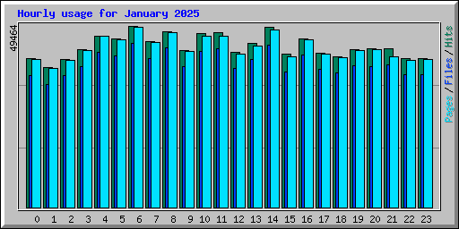 Hourly usage for January 2025