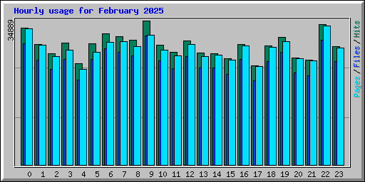 Hourly usage for February 2025