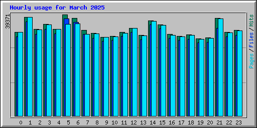 Hourly usage for March 2025