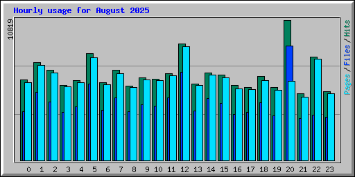 Hourly usage for August 2025