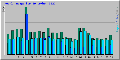 Hourly usage for September 2025