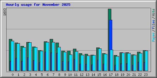Hourly usage for November 2025