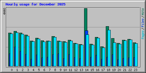 Hourly usage for December 2025
